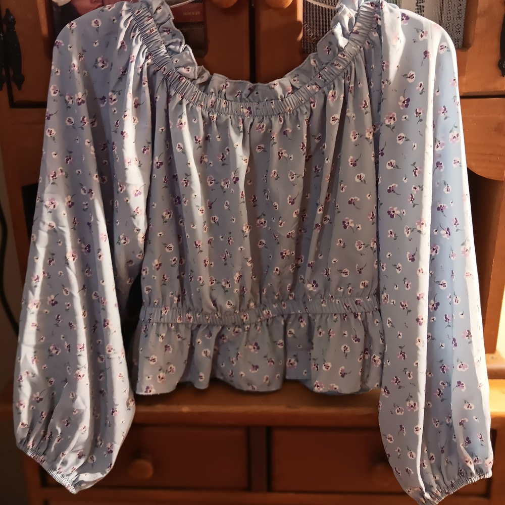 Floral Print Blue Crop Top